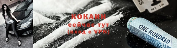 индика Медногорск
