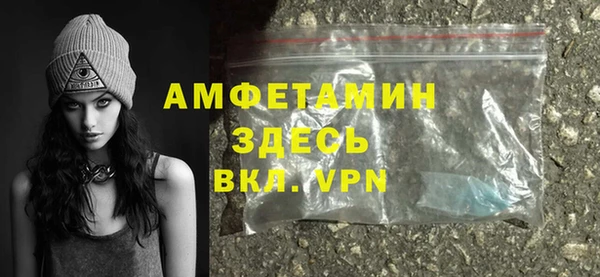 индика Медногорск